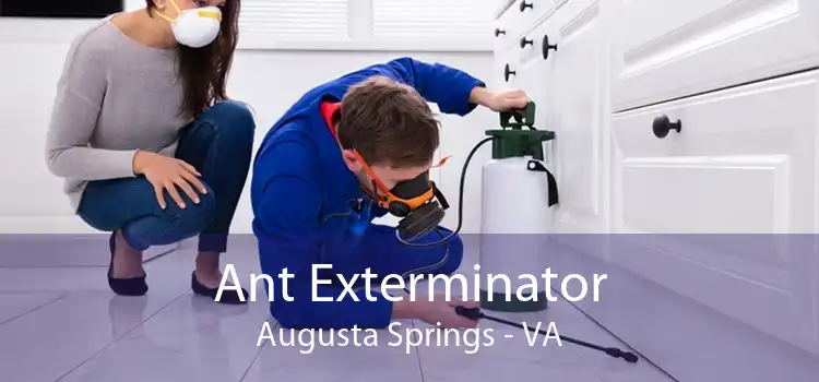 Ant Exterminator Augusta Springs - VA