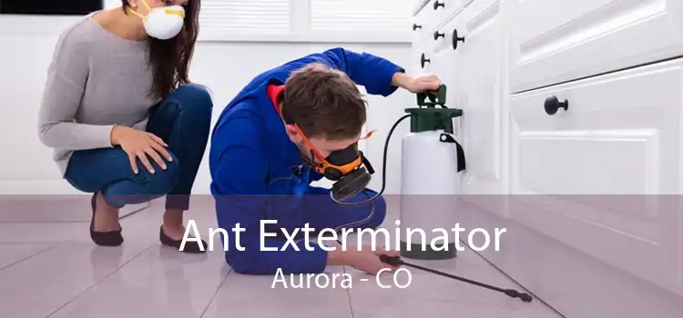 Ant Exterminator Aurora - CO