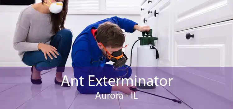 Ant Exterminator Aurora - IL