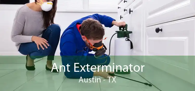 Ant Exterminator Austin - TX