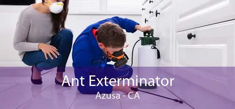 Ant Exterminator Azusa - CA