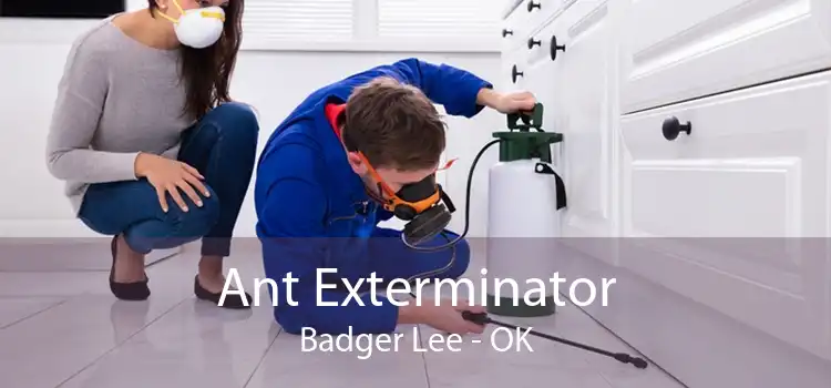 Ant Exterminator Badger Lee - OK