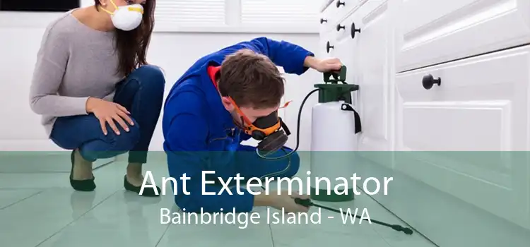 Ant Exterminator Bainbridge Island - WA