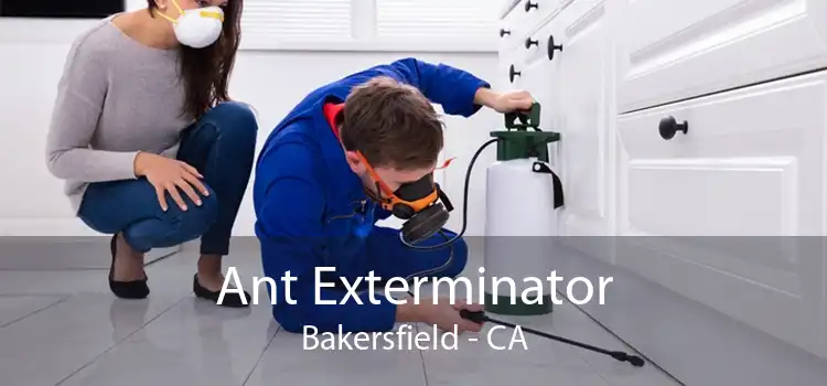 Ant Exterminator Bakersfield - CA