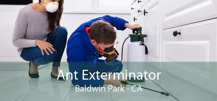 Ant Exterminator Baldwin Park - CA