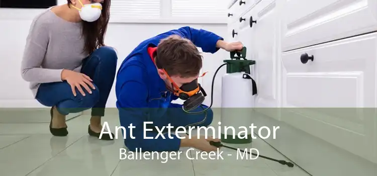 Ant Exterminator Ballenger Creek - MD