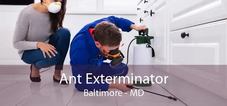 Ant Exterminator Baltimore - MD