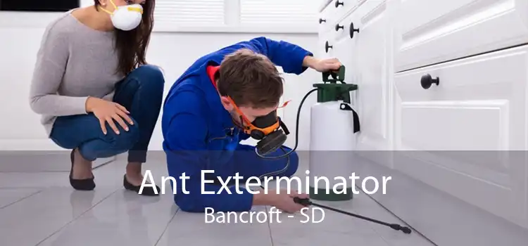 Ant Exterminator Bancroft - SD