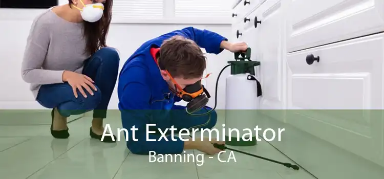 Ant Exterminator Banning - CA