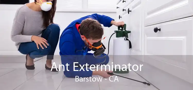 Ant Exterminator Barstow - CA