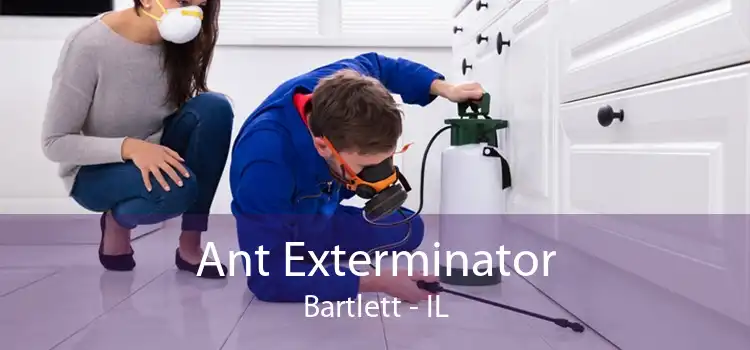 Ant Exterminator Bartlett - IL