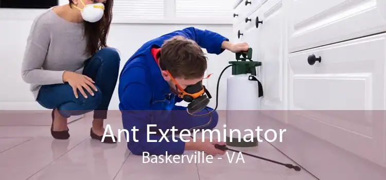 Ant Exterminator Baskerville - VA