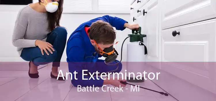 Ant Exterminator Battle Creek - MI