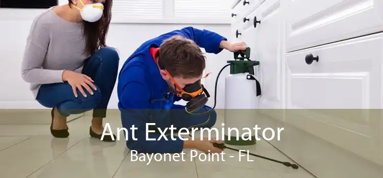 Ant Exterminator Bayonet Point - FL