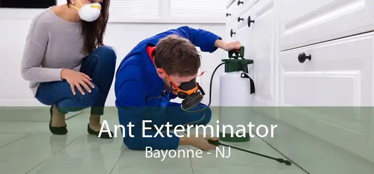 Ant Exterminator Bayonne - NJ