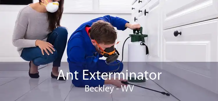 Ant Exterminator Beckley - WV