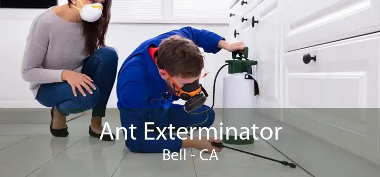 Ant Exterminator Bell - CA