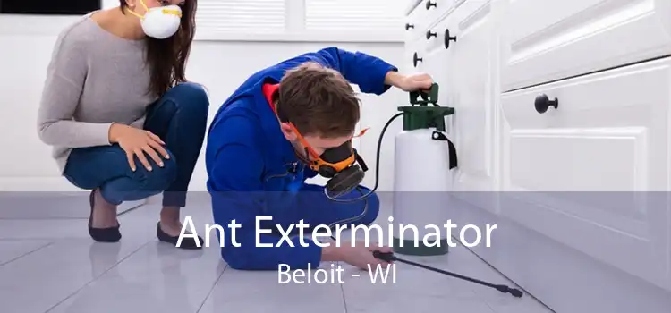 Ant Exterminator Beloit - WI