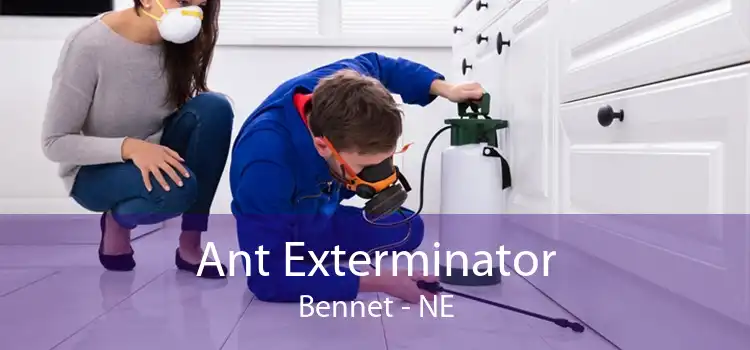 Ant Exterminator Bennet - NE