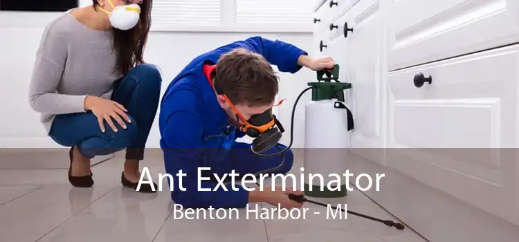 Ant Exterminator Benton Harbor - MI