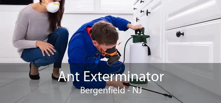 Ant Exterminator Bergenfield - NJ