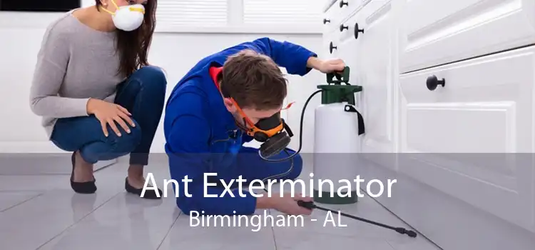 Ant Exterminator Birmingham - AL