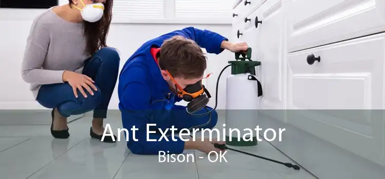 Ant Exterminator Bison - OK