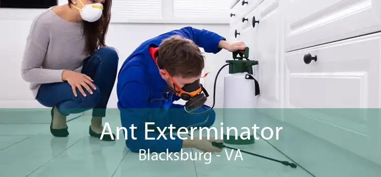 Ant Exterminator Blacksburg - VA