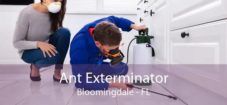 Ant Exterminator Bloomingdale - FL