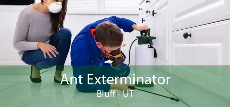 Ant Exterminator Bluff - UT