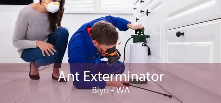 Ant Exterminator Blyn - WA