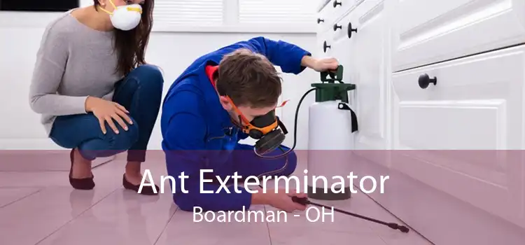 Ant Exterminator Boardman - OH