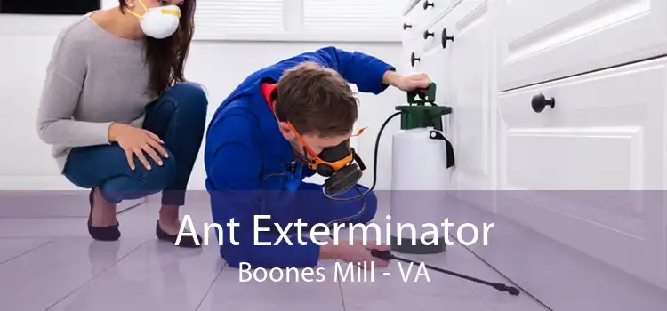 Ant Exterminator Boones Mill - VA