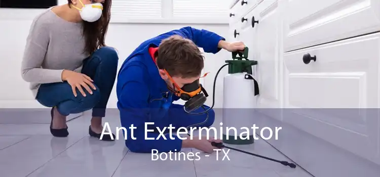 Ant Exterminator Botines - TX