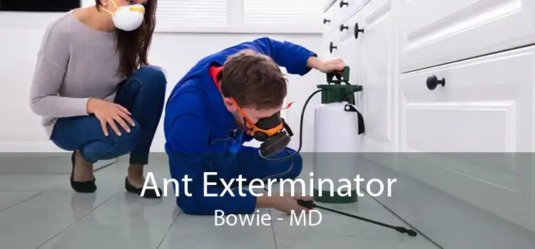 Ant Exterminator Bowie - MD