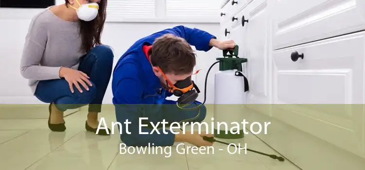 Ant Exterminator Bowling Green - OH