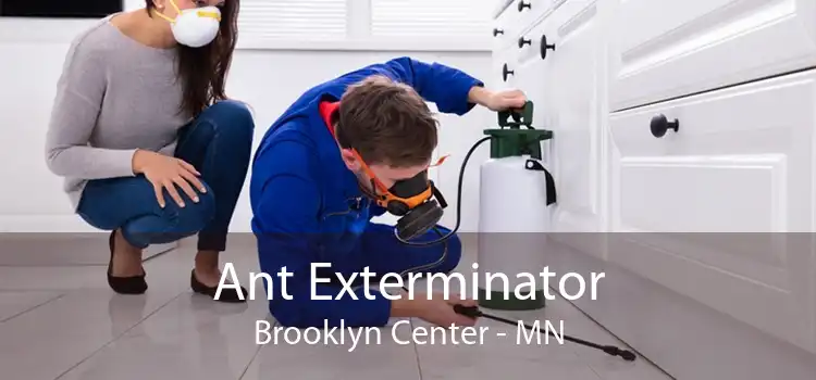 Ant Exterminator Brooklyn Center - MN