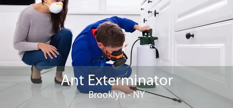 Ant Exterminator Brooklyn - NY