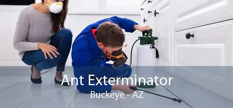 Ant Exterminator Buckeye - AZ