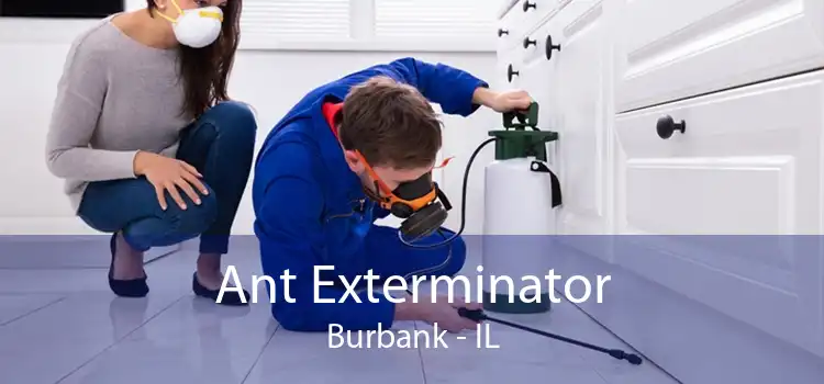 Ant Exterminator Burbank - IL