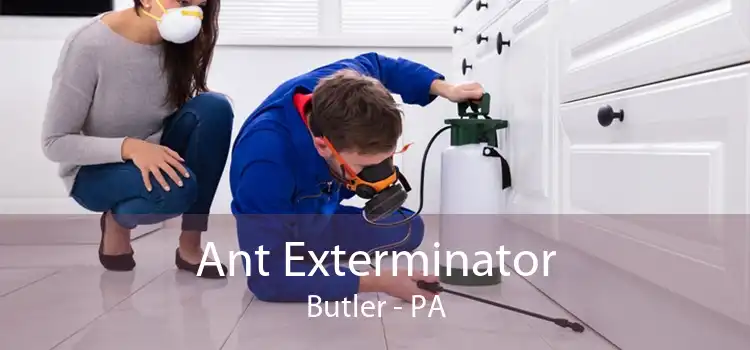 Ant Exterminator Butler - PA