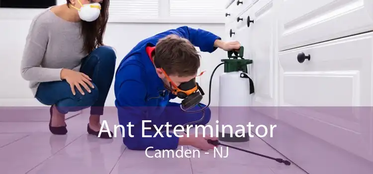 Ant Exterminator Camden - NJ