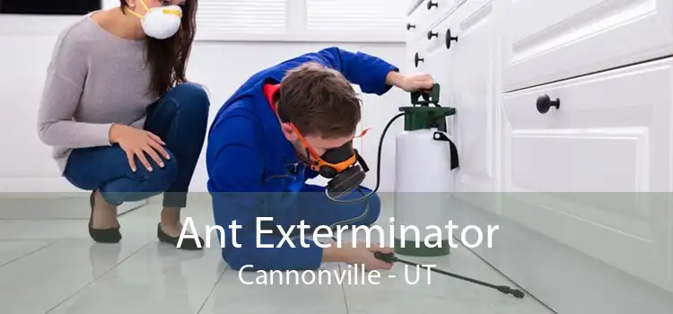 Ant Exterminator Cannonville - UT