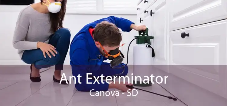 Ant Exterminator Canova - SD