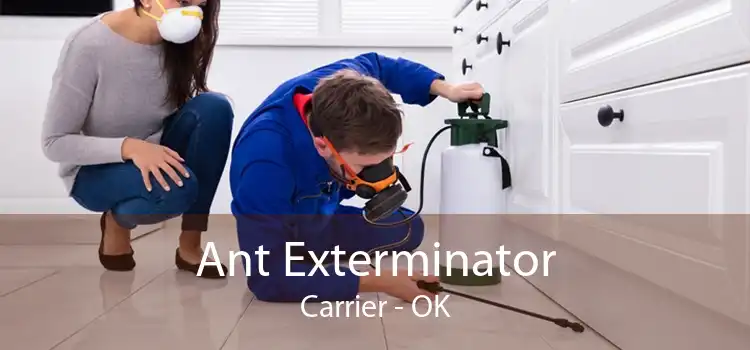 Ant Exterminator Carrier - OK