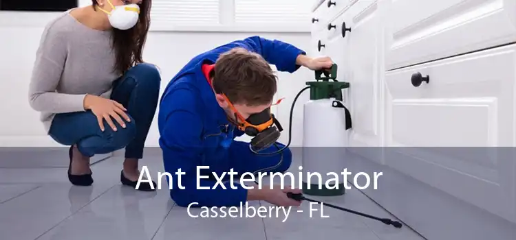 Ant Exterminator Casselberry - FL