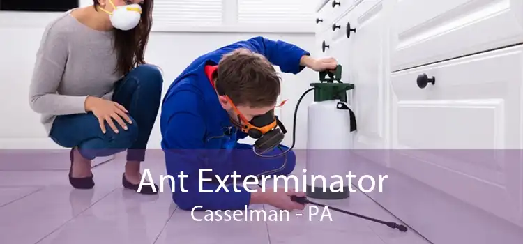 Ant Exterminator Casselman - PA