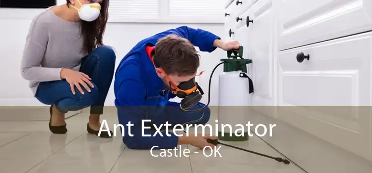 Ant Exterminator Castle - OK