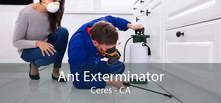 Ant Exterminator Ceres - CA