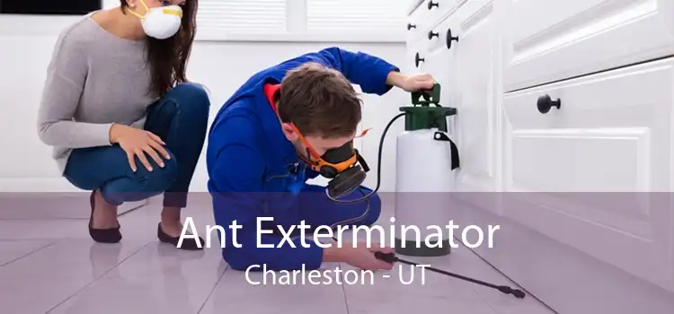 Ant Exterminator Charleston - UT